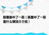 膝盖像中了一箭（膝盖中了一箭是什么梗简介介绍）