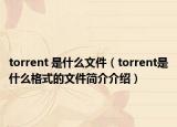 torrent 是什么文件（torrent是什么格式的文件简介介绍）