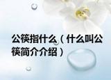 公筷指什么（什么叫公筷简介介绍）