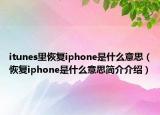 itunes里恢复iphone是什么意思（恢复iphone是什么意思简介介绍）