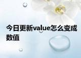 今日更新value怎么变成数值