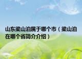 山东梁山泊属于哪个市（梁山泊在哪个省简介介绍）
