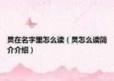 炅在名字里怎么读（炅怎么读简介介绍）