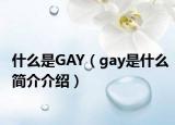什么是GAY（gay是什么简介介绍）