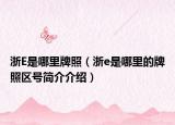 浙E是哪里牌照（浙e是哪里的牌照区号简介介绍）