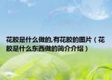 花胶是什么做的,有花胶的图片（花胶是什么东西做的简介介绍）