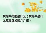 灰犀牛指的是什么（灰犀牛是什么意思含义简介介绍）