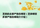 芝麻的主要产地在哪里（芝麻哪里多原产地在哪简介介绍）