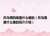兵马俑到底是什么做的（兵马俑是什么做的简介介绍）