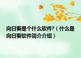 向日葵是个什么软件?（什么是向日葵软件简介介绍）