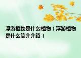 浮游植物是什么植物（浮游植物是什么简介介绍）