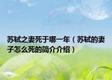 苏轼之妻死于哪一年（苏轼的妻子怎么死的简介介绍）