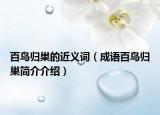 百鸟归巢的近义词（成语百鸟归巢简介介绍）
