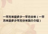 一平方米是多少一平方分米（一平方米是多少平方分米简介介绍）