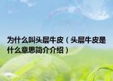 为什么叫头层牛皮（头层牛皮是什么意思简介介绍）