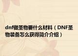 dnf做圣物要什么材料（DNF圣物装备怎么获得简介介绍）
