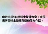 魔兽世界tbc圣骑士技能大全（魔兽世界圣骑士技能有哪些简介介绍）