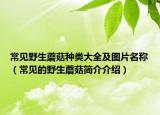 常见野生蘑菇种类大全及图片名称（常见的野生蘑菇简介介绍）