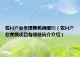 农村产业类项目包括哪些（农村产业发展项目有哪些简介介绍）