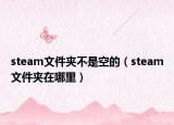 steam文件夹不是空的（steam文件夹在哪里）