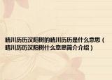 晴川历历汉阳树的晴川历历是什么意思（晴川历历汉阳树什么意思简介介绍）