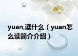 yuan,读什么（yuan怎么读简介介绍）