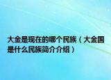 大金是现在的哪个民族（大金国是什么民族简介介绍）