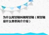 为什么阿甘鞋叫做阿甘鞋（阿甘鞋是什么意思简介介绍）