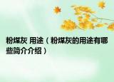粉煤灰 用途（粉煤灰的用途有哪些简介介绍）