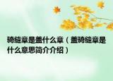 骑缝章是盖什么章（盖骑缝章是什么意思简介介绍）