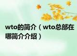 wto的简介（wto总部在哪简介介绍）