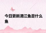 今日更新清江鱼是什么鱼