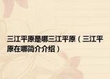 三江平原是哪三江平原（三江平原在哪简介介绍）