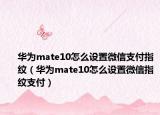 华为mate10怎么设置微信支付指纹（华为mate10怎么设置微信指纹支付）