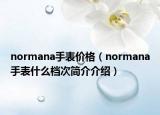 normana手表价格（normana手表什么档次简介介绍）