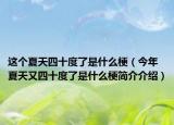 这个夏天四十度了是什么梗（今年夏天又四十度了是什么梗简介介绍）
