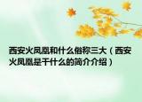西安火凤凰和什么俗称三大（西安火凤凰是干什么的简介介绍）