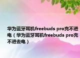 华为蓝牙耳机freebuds pro充不进电（华为蓝牙耳机freebuds pro充不进去电）