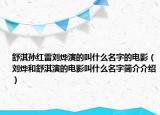 舒淇孙红雷刘烨演的叫什么名字的电影（刘烨和舒淇演的电影叫什么名字简介介绍）