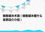 销售破冰术语（销售破冰是什么意思简介介绍）