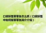 口袋妖怪笨笨鱼怎么抓（口袋妖怪中如何捉笨笨鱼简介介绍）