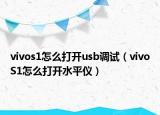 vivos1怎么打开usb调试（vivoS1怎么打开水平仪）