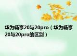 华为畅享20与20pro（华为畅享20与20pro的区别）