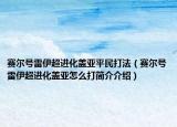 赛尔号雷伊超进化盖亚平民打法（赛尔号雷伊超进化盖亚怎么打简介介绍）