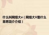 什么叫网络大v（网络大V是什么意思简介介绍）
