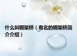什么叫钢架桥（有名的钢架桥简介介绍）