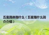 五官具体指什么（五官指什么简介介绍）
