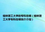 桂林理工大学的专科在哪（桂林理工大学专科在哪简介介绍）