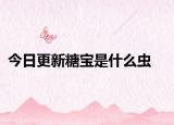 今日更新糖宝是什么虫