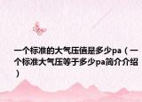 一个标准的大气压值是多少pa（一个标准大气压等于多少pa简介介绍）